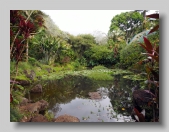 Waimea Valley_2013